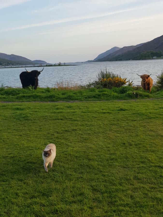 Fort William Loft On Shore Front With Amazing Views Caol Exterior photo